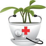 kisspng medicinal plants therapy traditional medicine drug 5aff68e9d1e7b1.0954758515266879778598